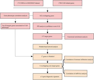 Identification of 5 hub genes for diagnosis of coronary artery disease